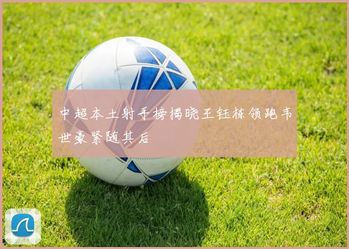 中超本土射手榜揭晓王钰栋领跑韦世豪紧随其后